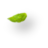 نارناکیک